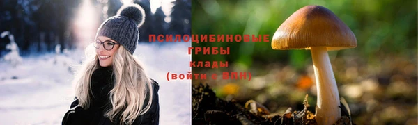 дживик Майский