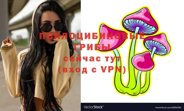 МДПВ Магас