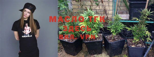 дживик Майский
