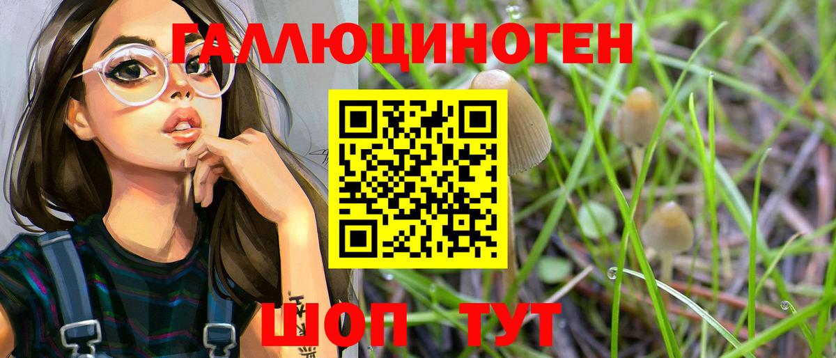 Псилоцибиновые грибы Psilocybe Якутск